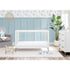 Delta Sloane 4 Drawer Dresser With Changing Top
